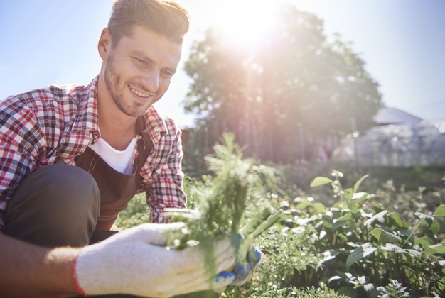 Le droit d’exploitation agricole, une loi qui peine à s’imposer