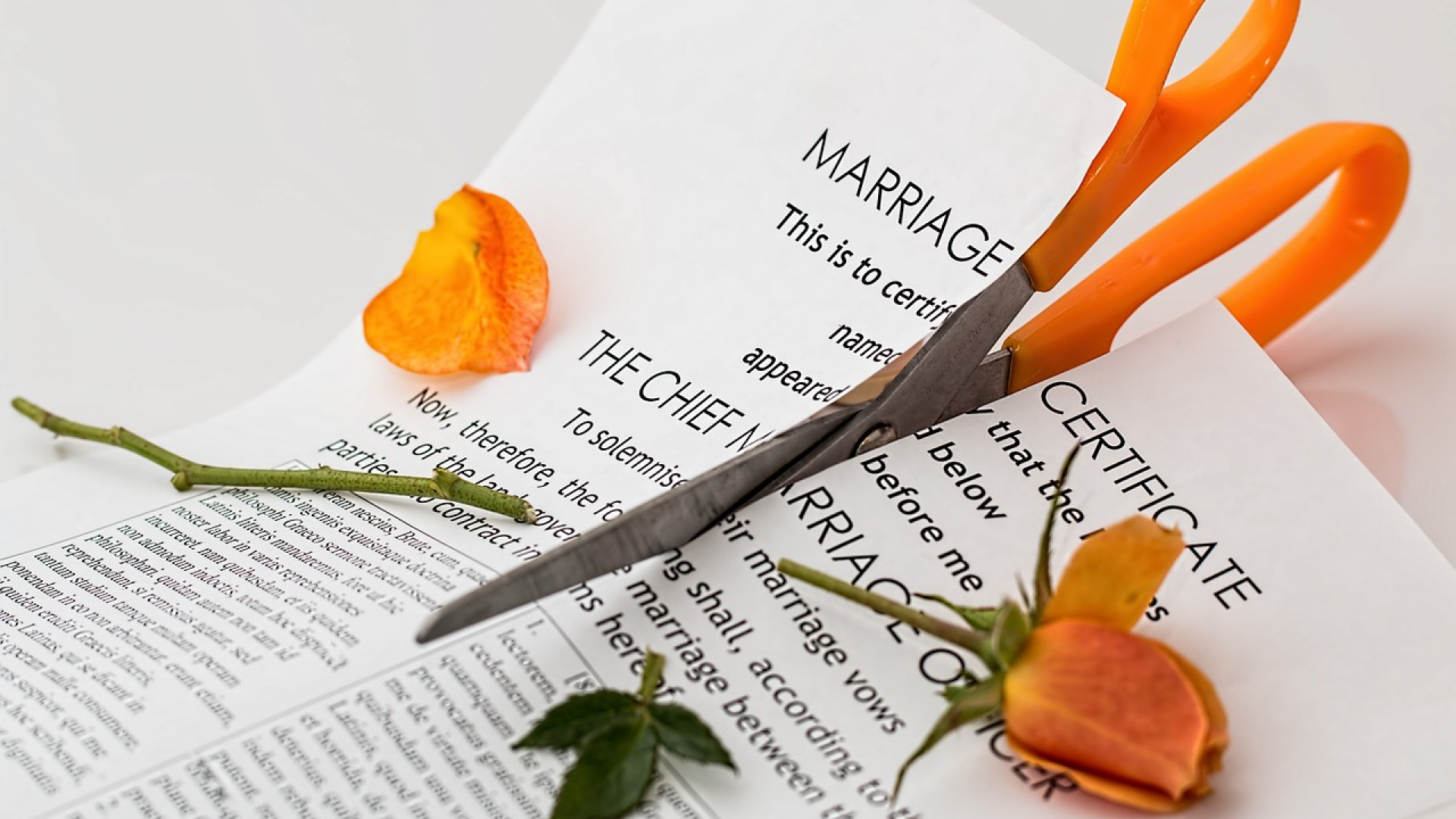 Le divorce par consentement mutuel : une séparation rapide et efficace